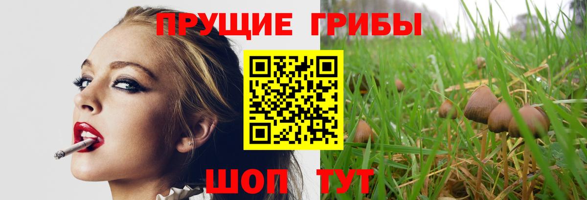 Галлюциногенные грибы Magic Shrooms  Вход с VPN  Феодосия  Галлюциногенные грибы прущие грибы 